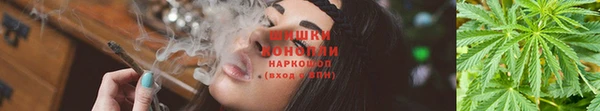 каннабис Касимов