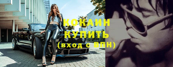 мдпв Карпинск