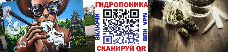 Купить  Белово  Канабис конопля 